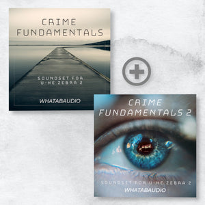 Crime Fundamentals Bundle