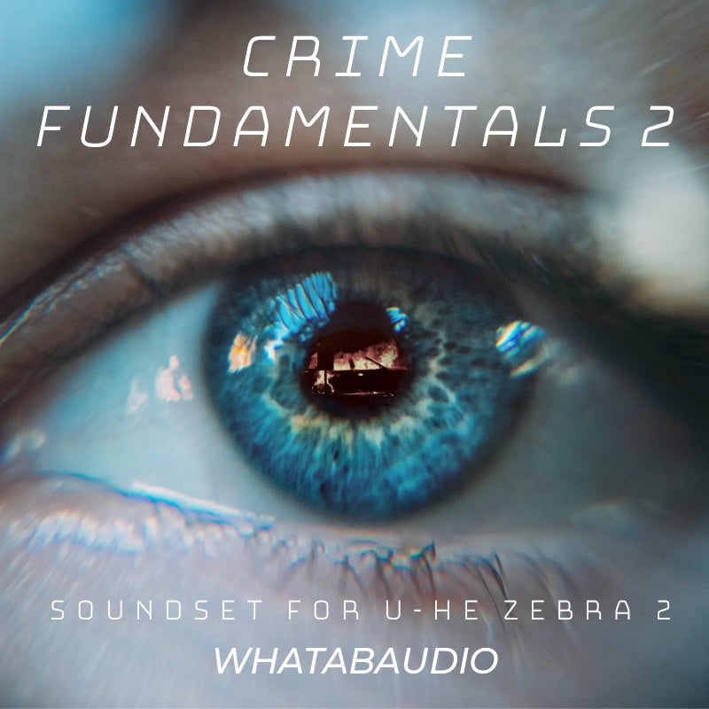 Crime Fundamentals 2