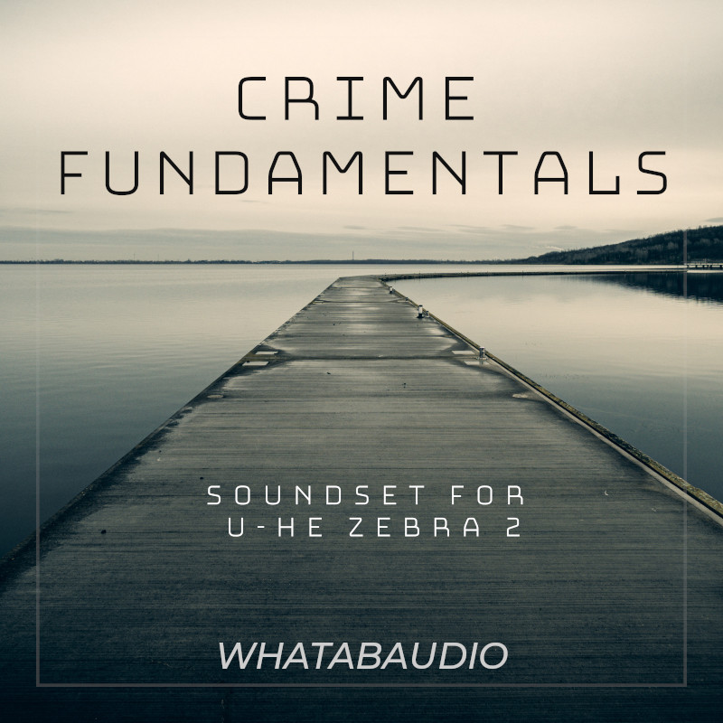 Crime Fundamentals 1